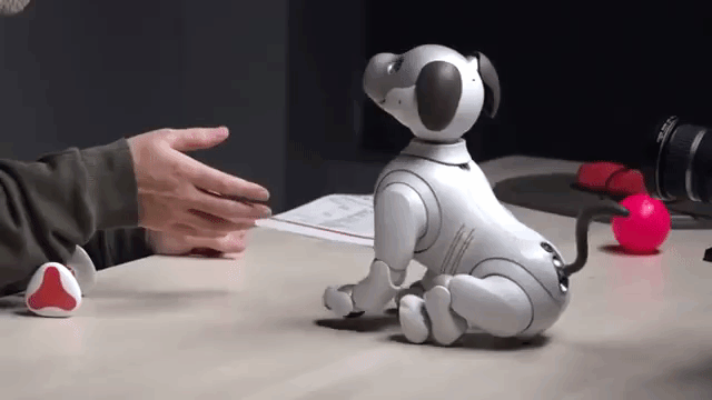 «Друг» человека: почему робот-собака Aibo возвращается на рынок